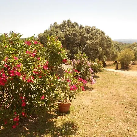 L' Incantu Bed & Breakfast Santa Teresa Gallura