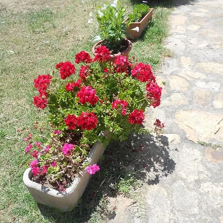 L' Incantu Bed and breakfast Santa Teresa Gallura