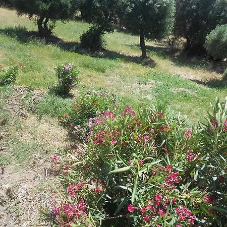 L' Incantu Bed & Breakfast