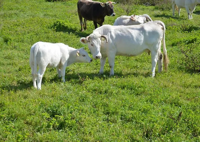 Bed & Breakfast L' Incantu 3*