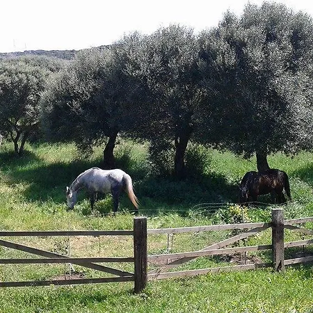 因卡图住宿加早餐旅馆 住宿加早餐酒店 3*