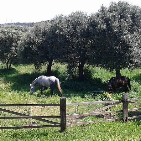 L' Incantu Bed & Breakfast *