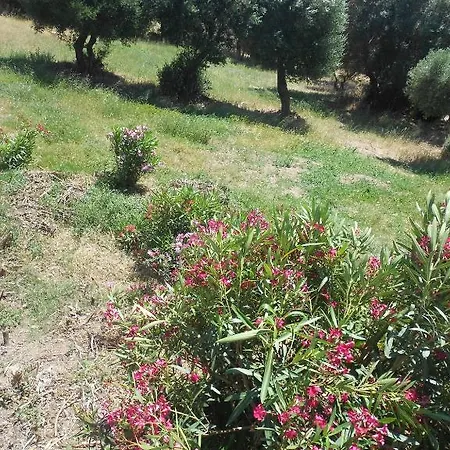 L' Incantu Bed & Breakfast
