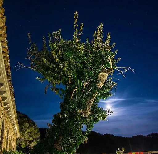 Panzió L' Incantu Santa Teresa Gallura