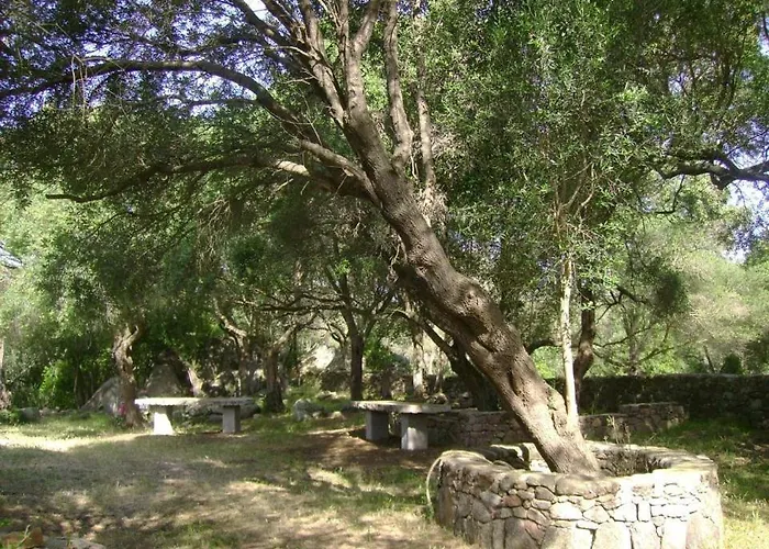 L' Incantu サンタ・テレーザ・ガッルーラ